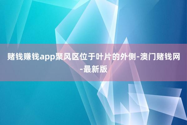 赌钱赚钱app聚风区位于叶片的外侧-澳门赌钱网-最新版