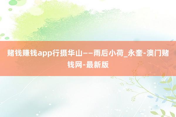 赌钱赚钱app行摄华山——雨后小荷_永奎-澳门赌钱网-最新版